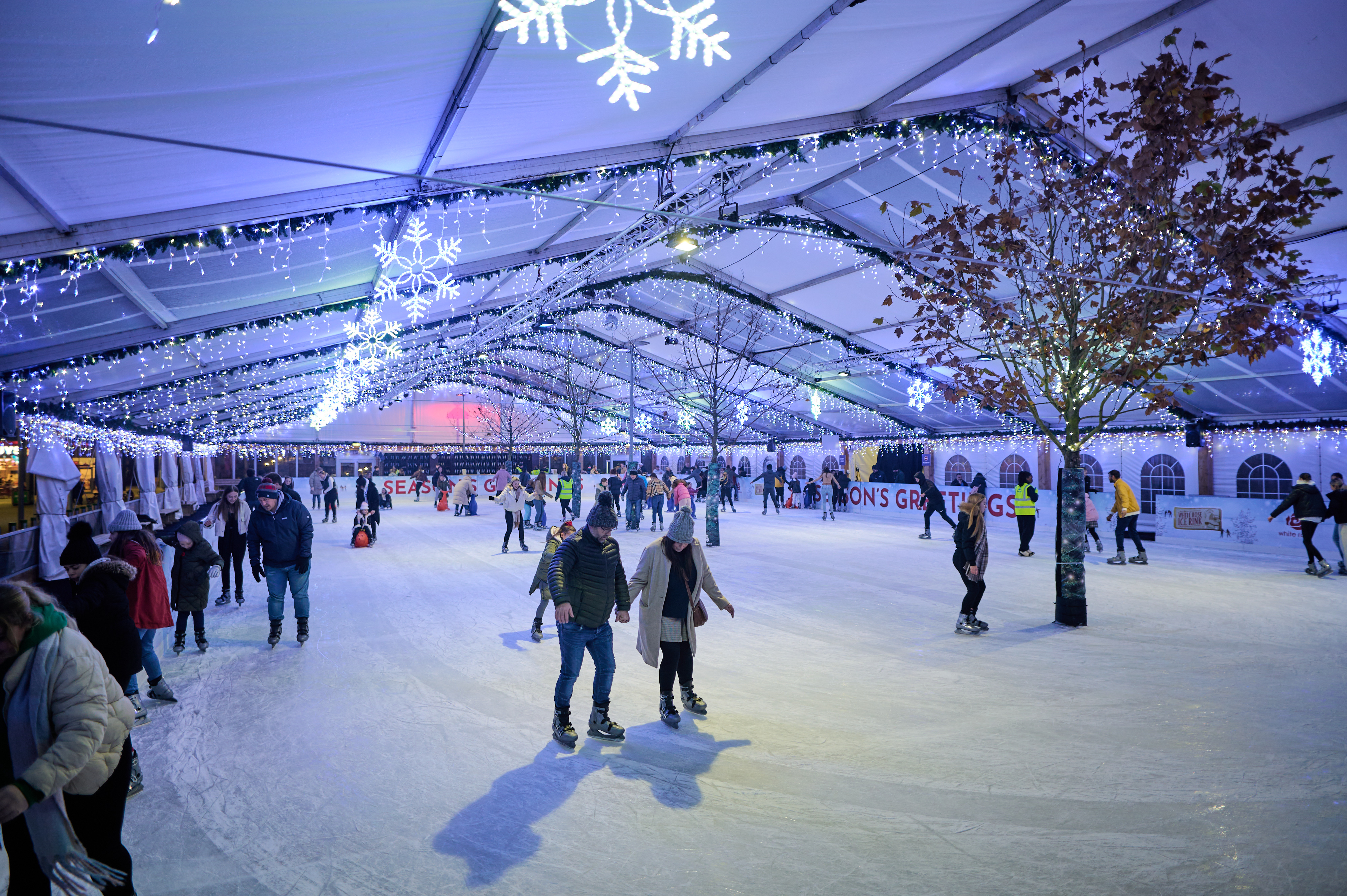 Skaters enjoying a winter ice rink at night with twinkly lit trees in the middle of the ice.
