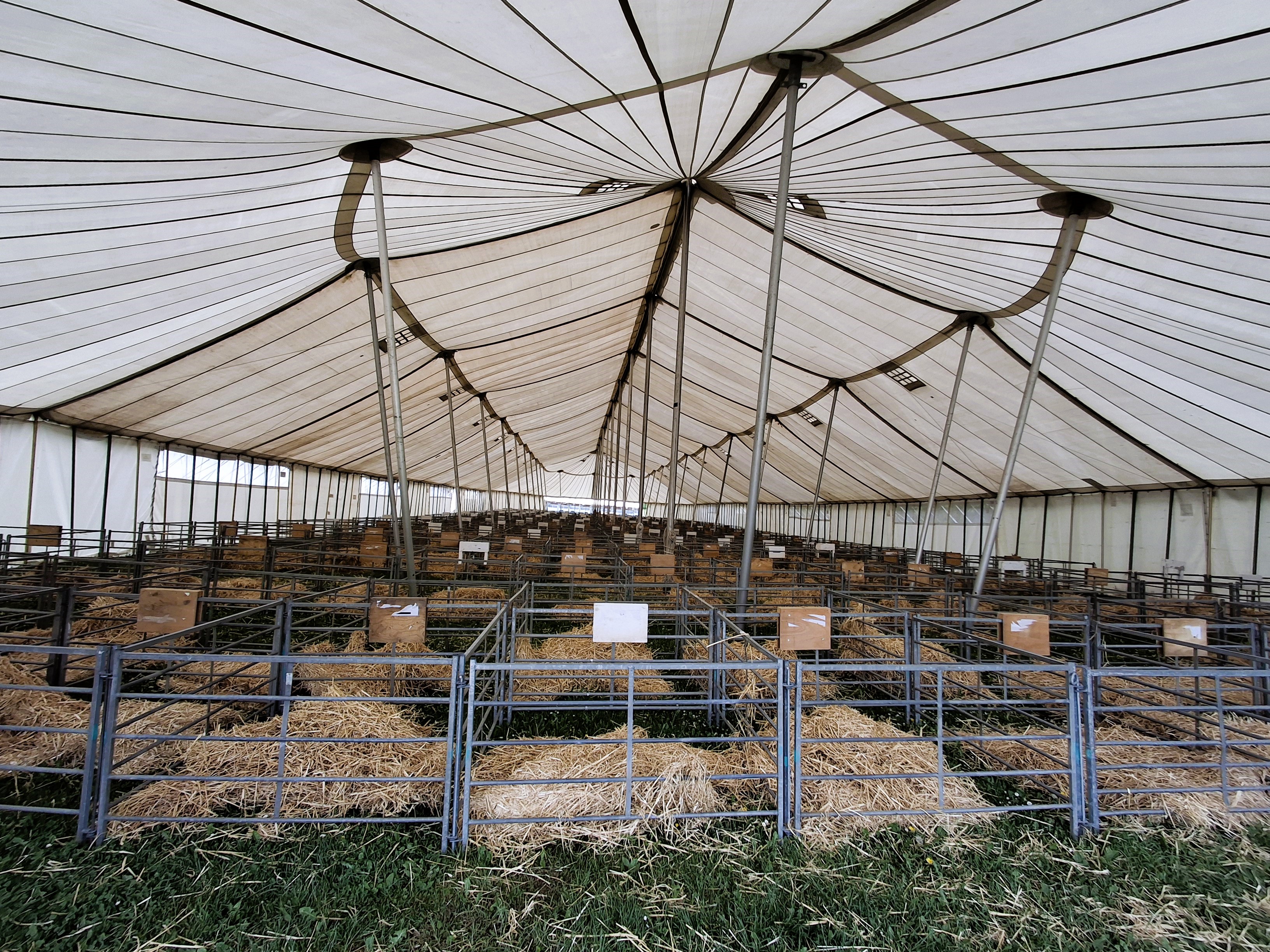 Empty animal pens filled with hay inside a traditional tent at the Devon County Show, 