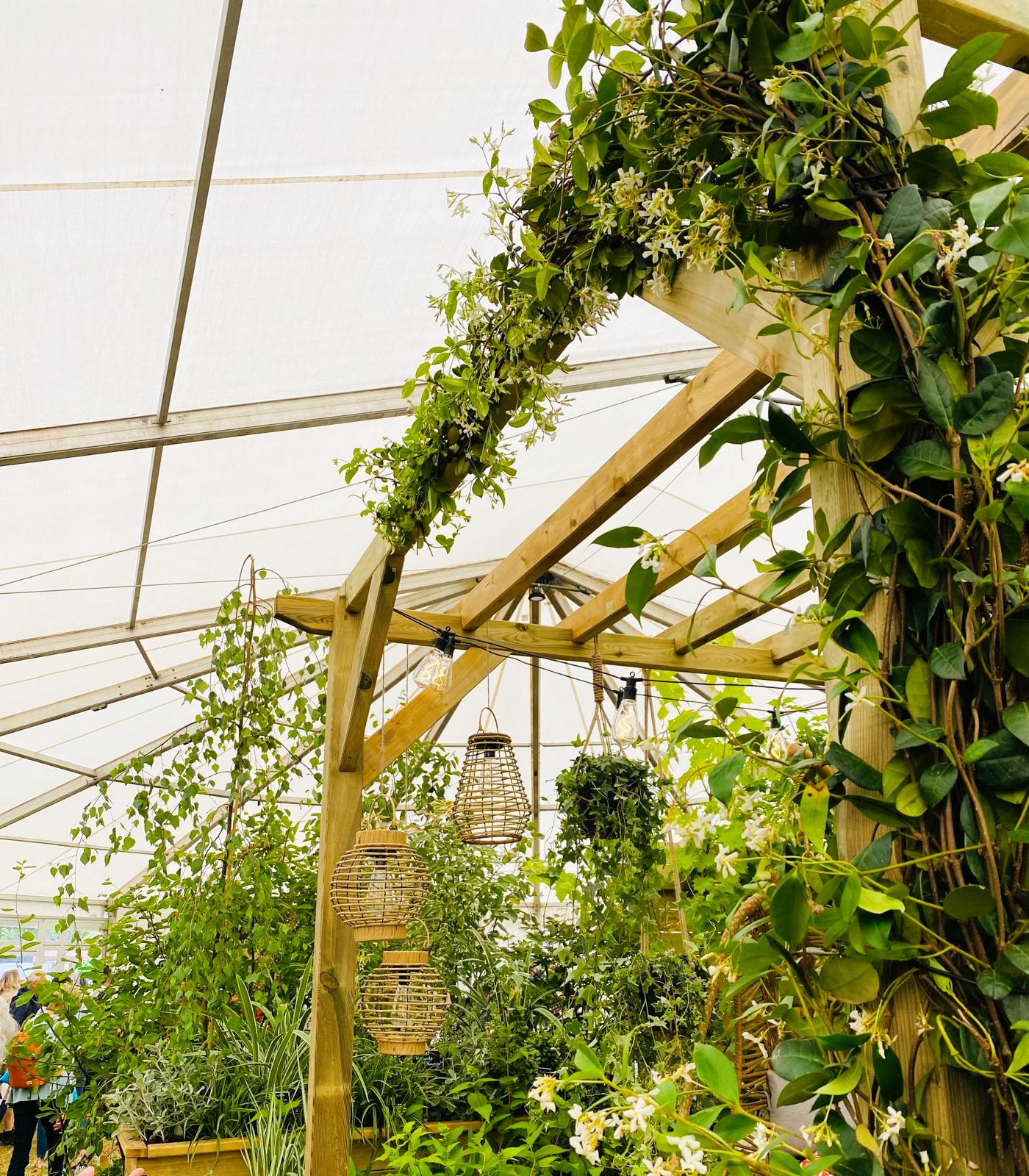 a wooden trellis with green plants and flowers and lanterns inside a show marquee in Cornwall.   